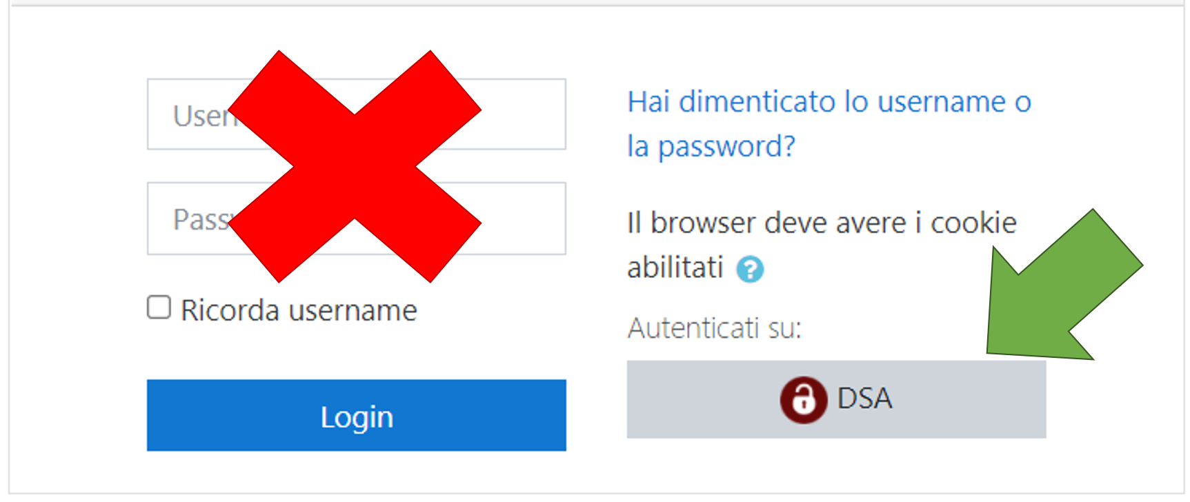 L'immagine rappresenta la schermata del login della piattaforma. E' presente una croce di colore rosso sulla scritta Username e Password alla sinistra della schermata e un freccina verde  sul pulsante "DSA"